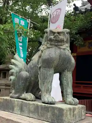 浅草神社の狛犬