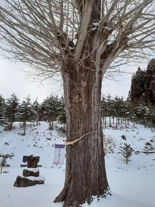 吉祥寺(岩手県)