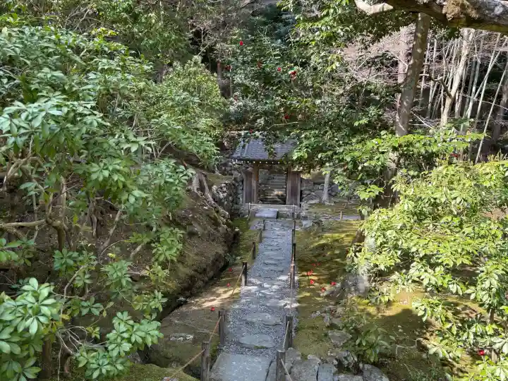 西芳寺の{uncategorized: "未分類", other: "その他", undefined: "問題あり", building: "その他建物", grave: "お墓", sacred_gate: "鳥居", guardian: "狛犬", statue: "像", buddha: "仏像", history: "歴史", nature: "自然", garden: "庭園", animal: "動物", pagoda: "塔", temizu: "手水舎", mountain_gate: "山門・神門", sanctuary: "本殿・本堂", subordinate: "末社・摂社", art: "芸術", scenery: "景色", jizo: "地蔵", ema: "絵馬", goshuin: "御朱印", omikuji: "おみくじ", items: "授与品その他", amulet: "お守り", goshuincho: "御朱印帳", eats: "食事", festival: "お祭り", votive_dance: "神楽", shichigosan: "七五三参", wedding: "結婚式", experience: "体験その他", initially: "初詣", around: "周辺", anti_infection: "感染症対策"}