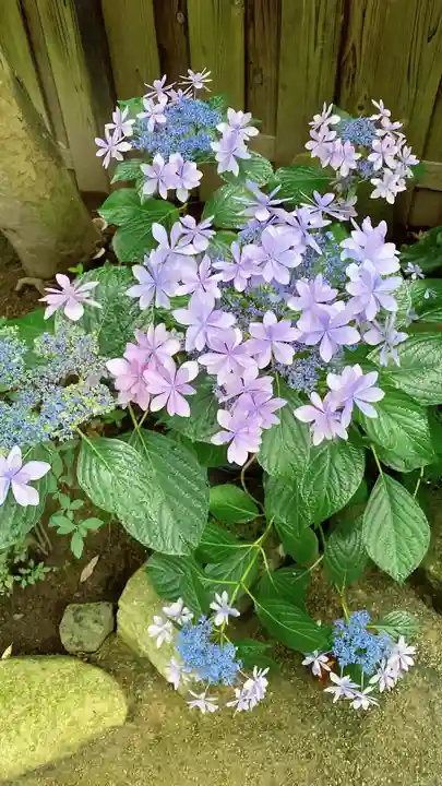 長谷寺(神奈川県)
