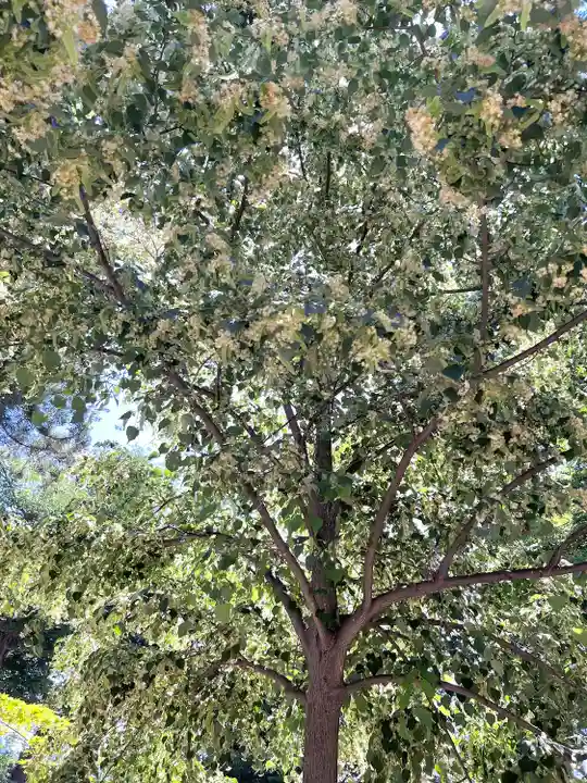 武水別神社の自然