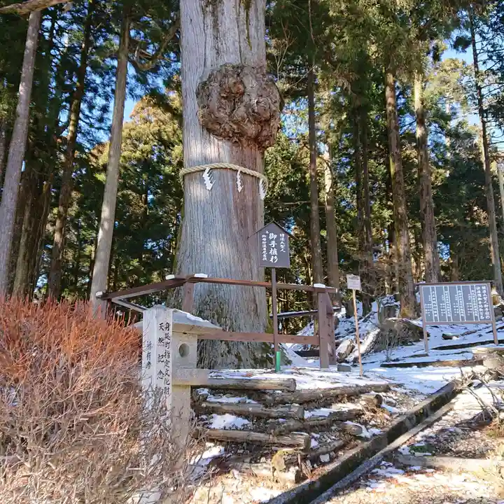 身延山奥之院思親閣の自然