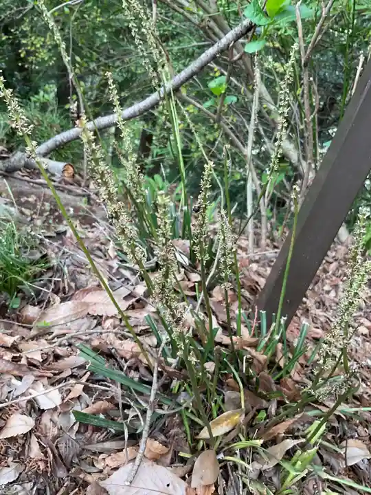 日龍峯寺(高澤観音)(美濃清水)(岐阜県)