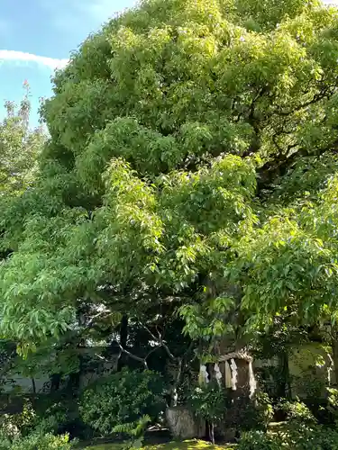 慈受院門跡(京都府)