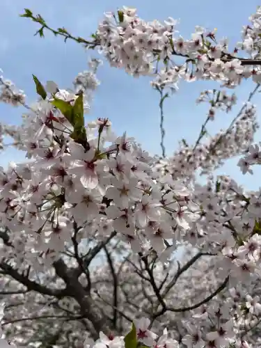 石鎚神社 口之宮 本社(愛媛県)