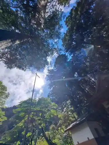 九頭龍神社(東京都)