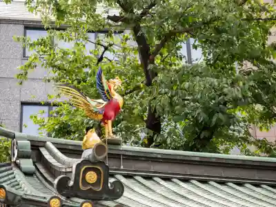神田神社（神田明神）の狛犬