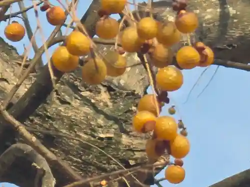 染野稲荷神社(奈良県)