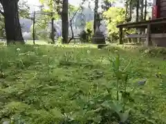 鵜羽神社の自然