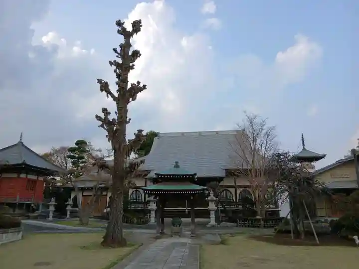 光明寺の{uncategorized: "未分類", other: "その他", undefined: "問題あり", building: "その他建物", grave: "お墓", sacred_gate: "鳥居", guardian: "狛犬", statue: "像", buddha: "仏像", history: "歴史", nature: "自然", garden: "庭園", animal: "動物", pagoda: "塔", temizu: "手水舎", mountain_gate: "山門・神門", sanctuary: "本殿・本堂", subordinate: "末社・摂社", art: "芸術", scenery: "景色", jizo: "地蔵", ema: "絵馬", goshuin: "御朱印", omikuji: "おみくじ", items: "授与品その他", amulet: "お守り", goshuincho: "御朱印帳", eats: "食事", festival: "お祭り", votive_dance: "神楽", shichigosan: "七五三参", wedding: "結婚式", experience: "体験その他", initially: "初詣", around: "周辺", anti_infection: "感染症対策"}