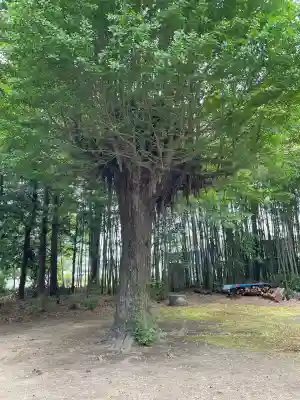 神岡稲荷神社の{uncategorized: "未分類", other: "その他", undefined: "問題あり", building: "その他建物", grave: "お墓", sacred_gate: "鳥居", guardian: "狛犬", statue: "像", buddha: "仏像", history: "歴史", nature: "自然", garden: "庭園", animal: "動物", pagoda: "塔", temizu: "手水舎", mountain_gate: "山門・神門", sanctuary: "本殿・本堂", subordinate: "末社・摂社", art: "芸術", scenery: "景色", jizo: "地蔵", ema: "絵馬", goshuin: "御朱印", omikuji: "おみくじ", items: "授与品その他", amulet: "お守り", goshuincho: "御朱印帳", eats: "食事", festival: "お祭り", votive_dance: "神楽", shichigosan: "七五三参", wedding: "結婚式", experience: "体験その他", initially: "初詣", around: "周辺", anti_infection: "感染症対策"}