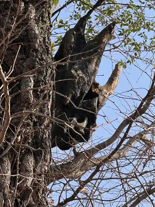 飛木稲荷神社の自然
