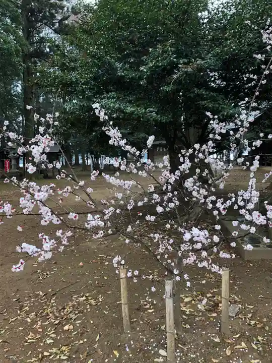 東蕗田天満社のその他建物
