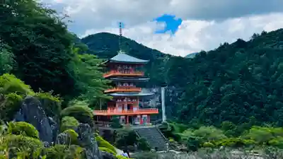 熊野那智大社(和歌山県)