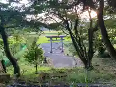 熊野神社の建物その他