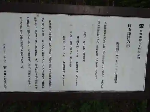 白山神社(神奈川県)