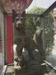 北野神社(東京都)