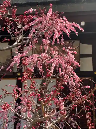 大阪天満宮の自然