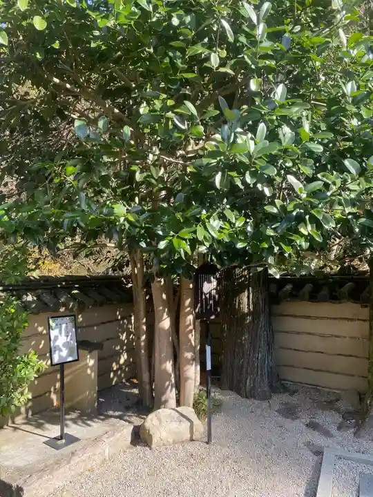 法起院(奈良県)