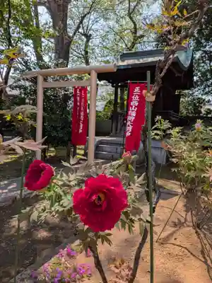 愛染院(東京都)