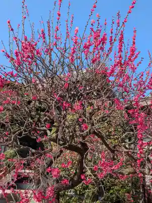 金藏院(神奈川県)