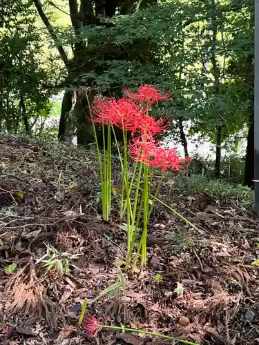 大宮温泉神社(栃木県)