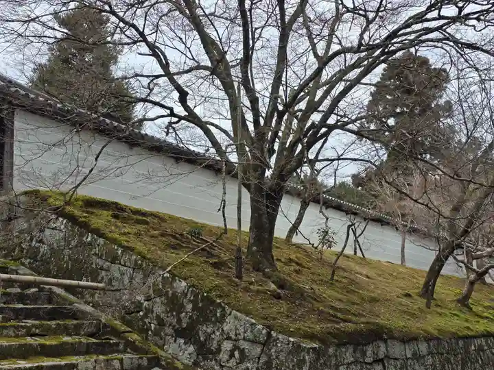 曼殊院門跡(京都府)