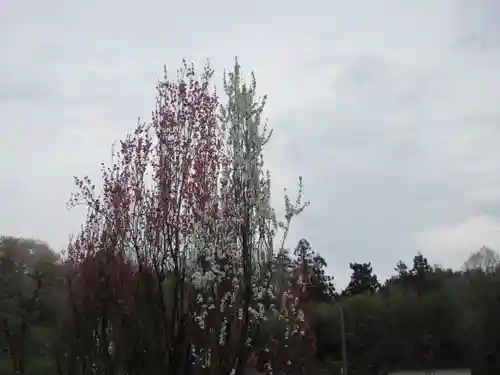 聖神社(埼玉県)