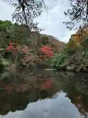 明治神宮の庭園