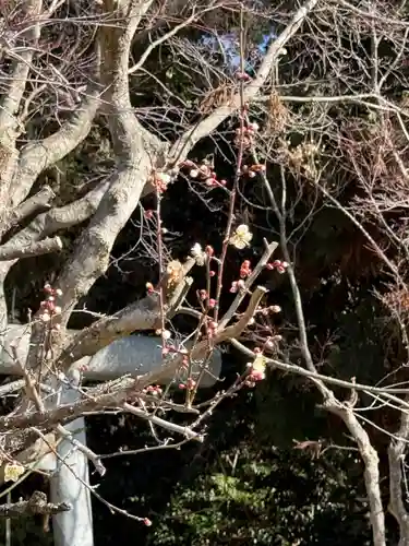 鹿島大神宮の御朱印