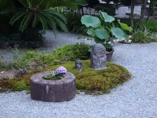 祥龍山 金剛寺の庭園