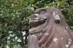 柳川総鎮守 日吉神社の狛犬