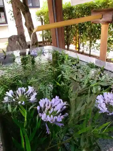 桜神宮(東京都)