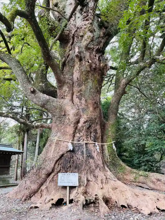 千栗八幡宮(佐賀県)