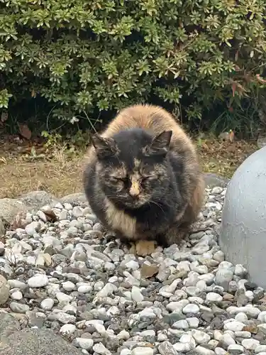 酒見神社(愛知県)