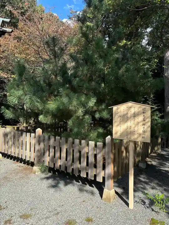 伊豆山神社(静岡県)