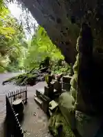 溝ノ口洞穴(鹿児島県)