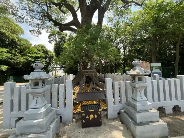 大鳥大社(大阪府)