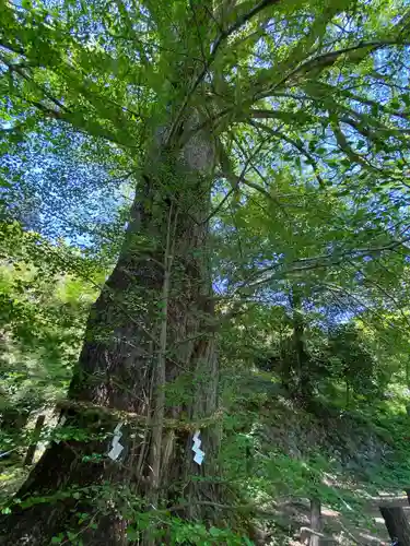 来迎院(奈良県)