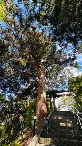 涌谷神社(宮城県)