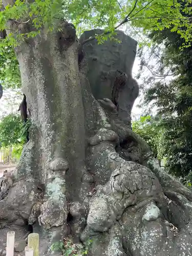 雀神社(茨城県)
