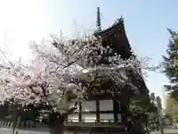 本法寺のその他建物