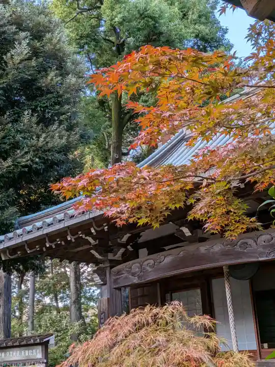 妙法寺(東京都)