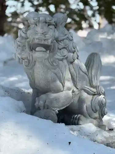 新琴似神社の狛犬