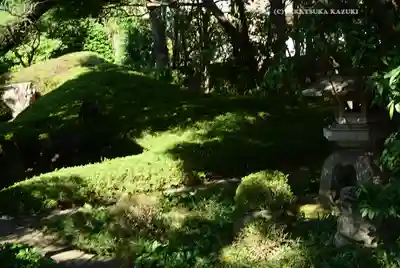 伝通院(東京都)