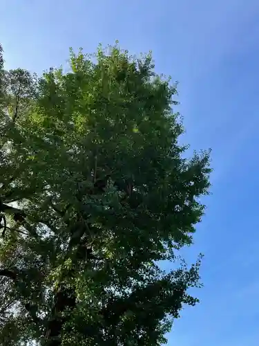 伊勢の国 四天王寺の自然