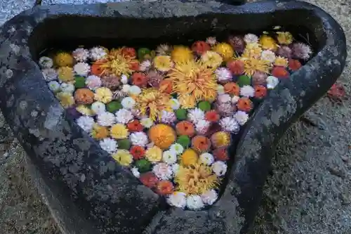 油井神社の手水