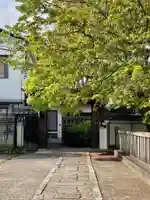 實泉院(実泉院)の山門・神門