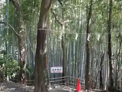  久延彦神社(奈良県)