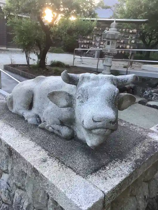 天満宮(常普請出世天満宮)の狛犬